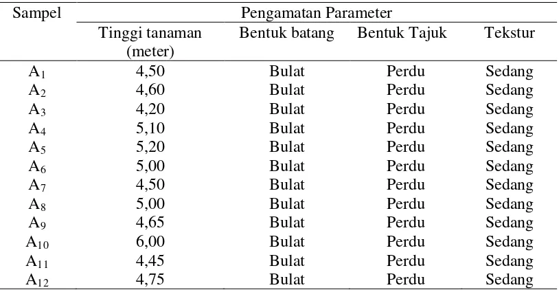 Tabel 2. Karakter-karakter morfologis batang 