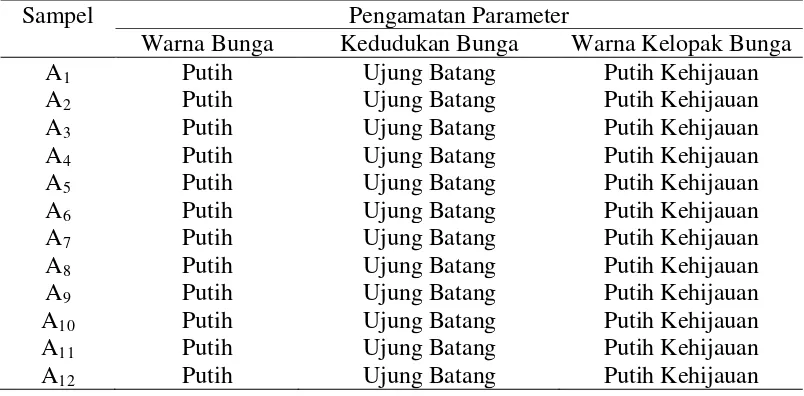 Tabel 4. Karakter-karakter morfologis bunga 