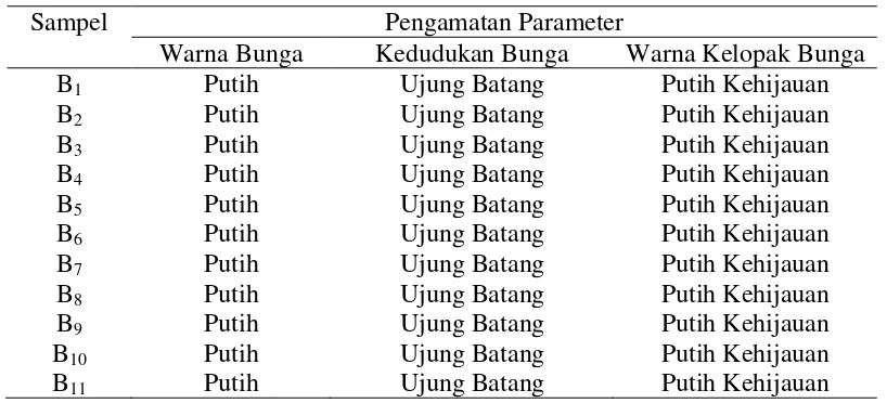 Tabel 8. Karakter-karakter morfologis bunga 