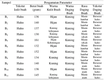 Tabel 9. Karakter-karakter morfologis buah 