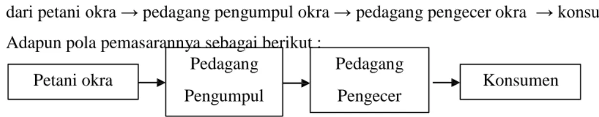 Gambar 3 : Bagan Pola Saluran Pemasaran Okra di Kecamatan Medan Kota, Kota Medan. 