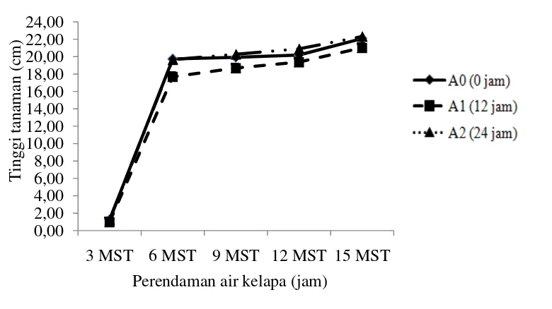 Grafik rataan tinggi tanaman pada perlakuan perendaman air kelapa tertera 