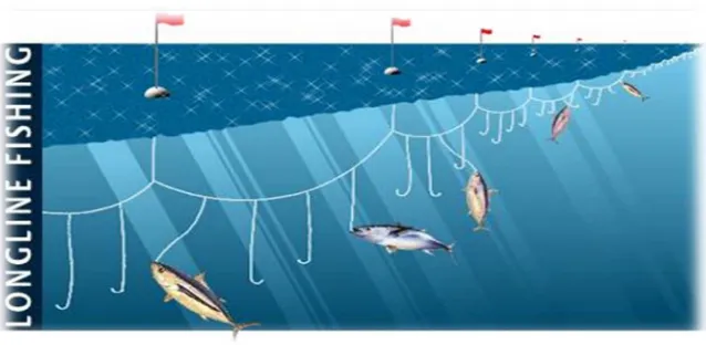 Figure 3.7 Type of fish aggregating devices (FADs) 