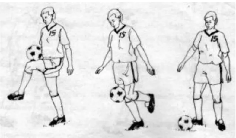 Gambar 9. Menghentikan Bola dengan Paha  Sumber: Sucipto, dkk. (2000: 27)  f)  Menghentikan bola dengan dada 