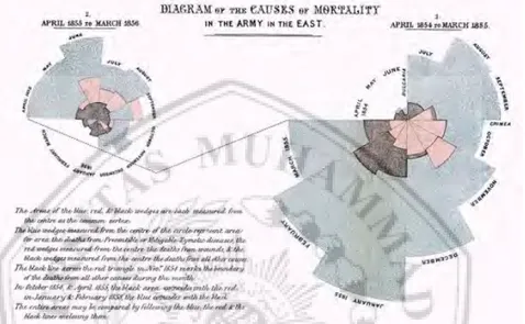 Gambar 2.1  Diagram Data yang dibuat oleh Florence Nightingale tentang  Kematian Tentara Inggris dalam Perang tahun 1858 