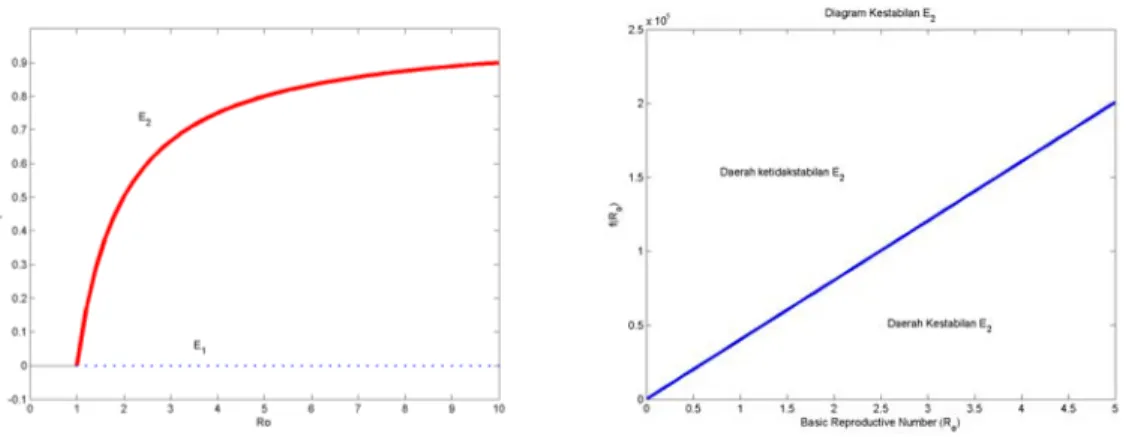 Gambar IV.2. Diagram ekuilibria model tanpa respons imun, garis menunjukkan solusi yang stabil dan titik - titik merepresentasikan solusi yang tidak stabil (kiri), dan daerah kestabilan dari E 2 (kanan).