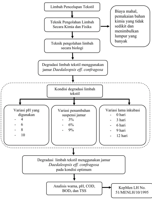 Gambar 3.1 Kerangka Konsep PenelitianVariasi pH yang digunakan-4-6-8-10
