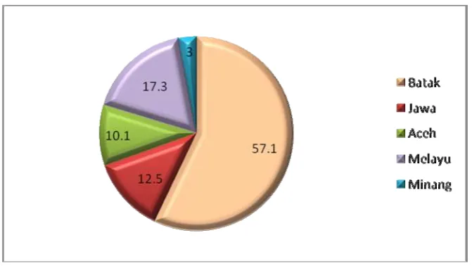 Gambar 5.6. Distribusi frekuensi suku bangsa penderita KNF tahun 2006-2010 