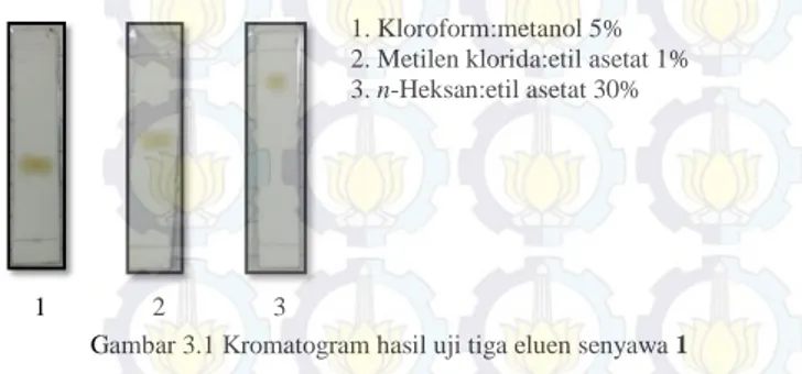 Gambar 3.1 Kromatogram hasil uji tiga eluen senyawa 1 