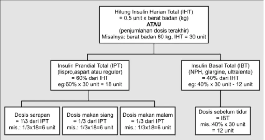 Gambar  4.  Memulai  terapi  insulin  injeksi  harian  multipel  pada  pasien  DMT1 (Cheng and Zinman, 2005)
