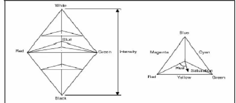 Gambar sebelah kiri merupakan bentuk solid HSI dan sebelah kanan adalah model segitiga HSI yang merupakan bidang datar dari