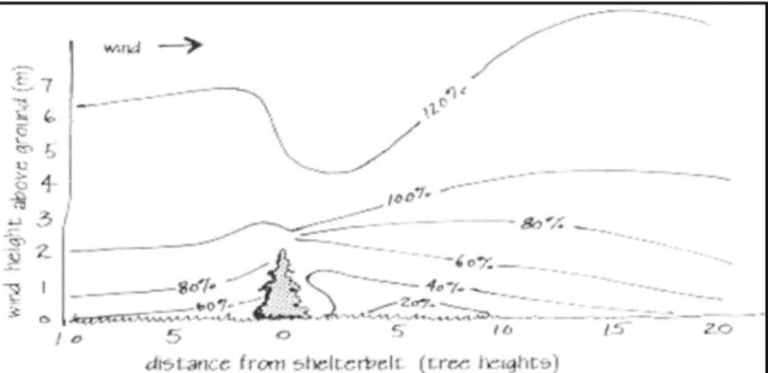 Gambar 2 Diagram Kecepatan Angin dengan Pohon  