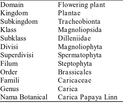Tabel 2.1 Klasifikasi Pepaya (Carica Papaya L) [25] 