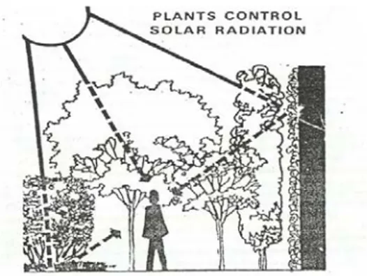 Gambar 2. Manfaat Tanaman bagi Manusia dalam Kontrol Radiasi  (Sumber: Grey dan Deneke, 1978) 