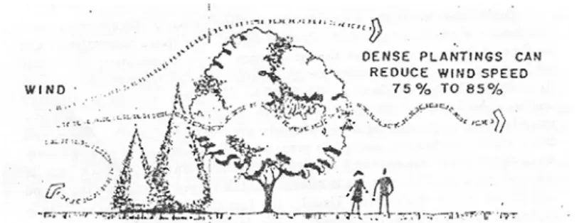 Gambar 3. Peran Pohon Mengurangi Kecepatan Angin   (Sumber: Grey dan Deneke, 1978). 