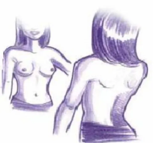 Gambar 2.14: SADARI dengan melihat payudara (breastcancer.org) 