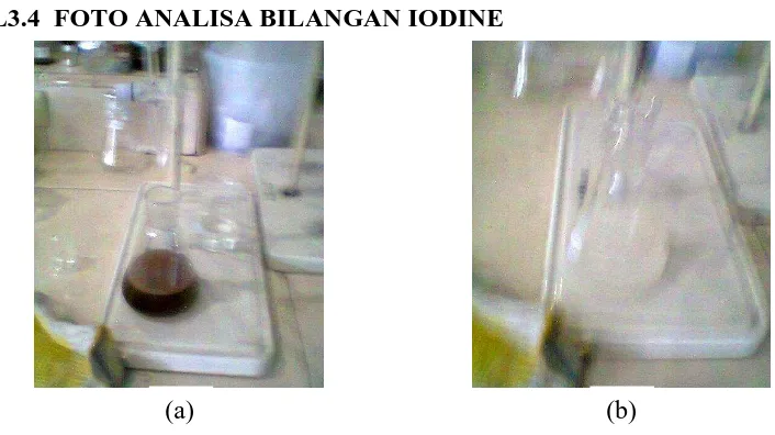 Gambar L3.3 (a) Ekstrak Minyak Biji Kurma; (b) Sampel Ekstrak Minyak Biji  Kurma yang Dianalisis  