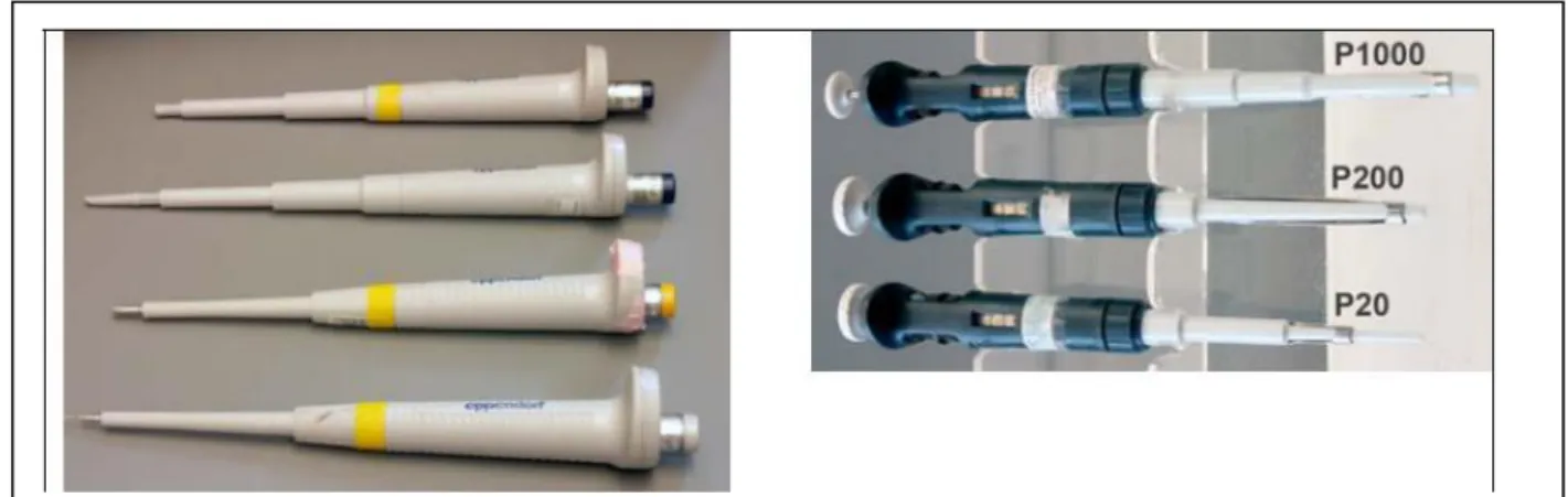 Gambar 1 menunjukkan  dua produk mikropipet dari dua produser yang berbeda 