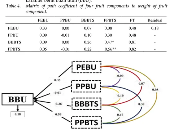 Tabel 4.  Matriks  koefisien  lintas  empat  karakter  komponen  buah  terhadap  karakter berat buah utuh (BBU)