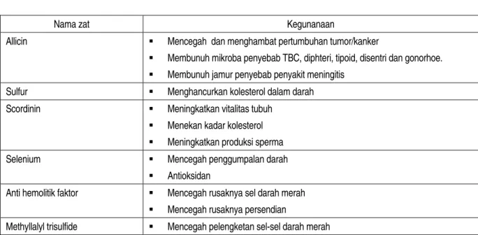 Tabel  4   Zat-zat penting pada bawang putih serta kegunaannya. 