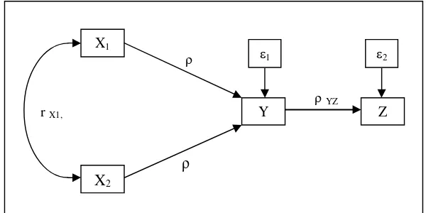 Gambar di atas menunjukkan hubungan kausal antara variabel X1 dengan Y, variabel X2 
