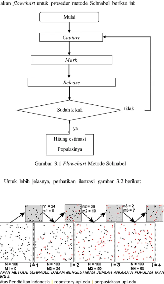 Gambar  3.1 Flowchart Metode Schnabel 