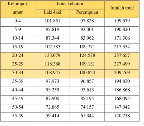 Tabel 3. 5 Kelompok umur dan jumlah penduduk kota Bandung  Sumber: BPS Kota Bandung 