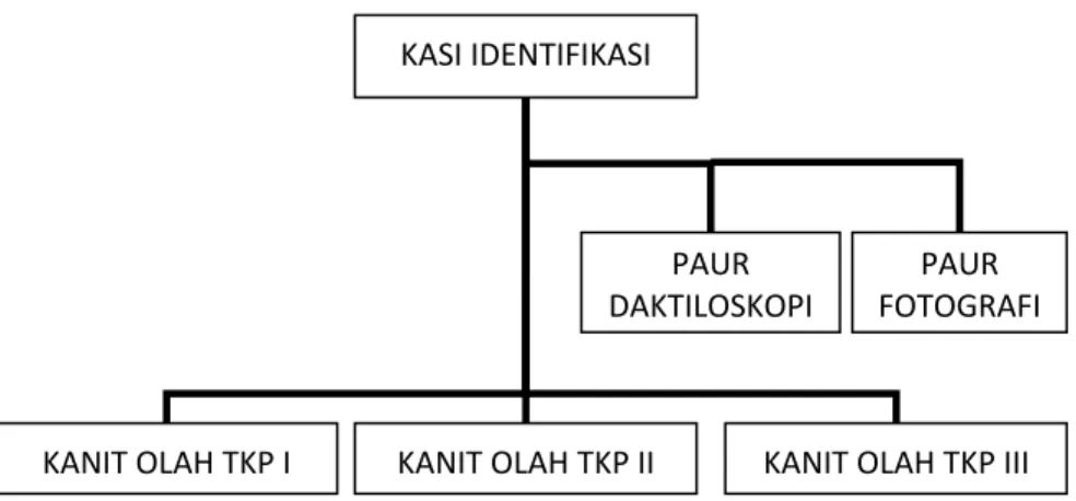Gambar 3.1 Struktur Organisasi Divisi Identifikasi DIRESKRIMUM  (Sumber: Divisi Identifikasi DIRESKRIMUM) 