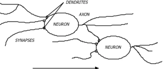 Gambar 3 Skema fisiologis neuron 