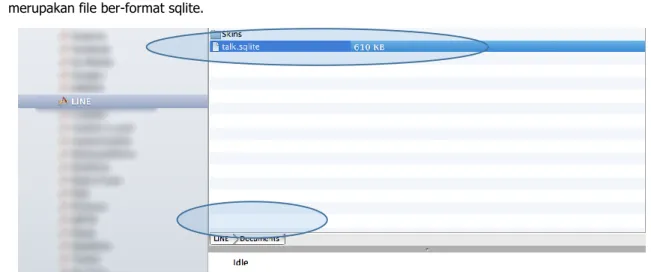 Figure 1 talk.sqlite on Documents Directory 