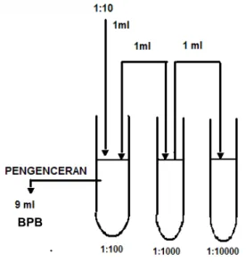 Gambar A.1  -  Tingkat pengenceran menggunakan larutan pengencer Butterfield’s  Phosphate Buffered Dilution Water (BPB) 