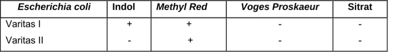 Tabel A.1  -  Reaksi biokimia E. coli pada uji IMVIC 