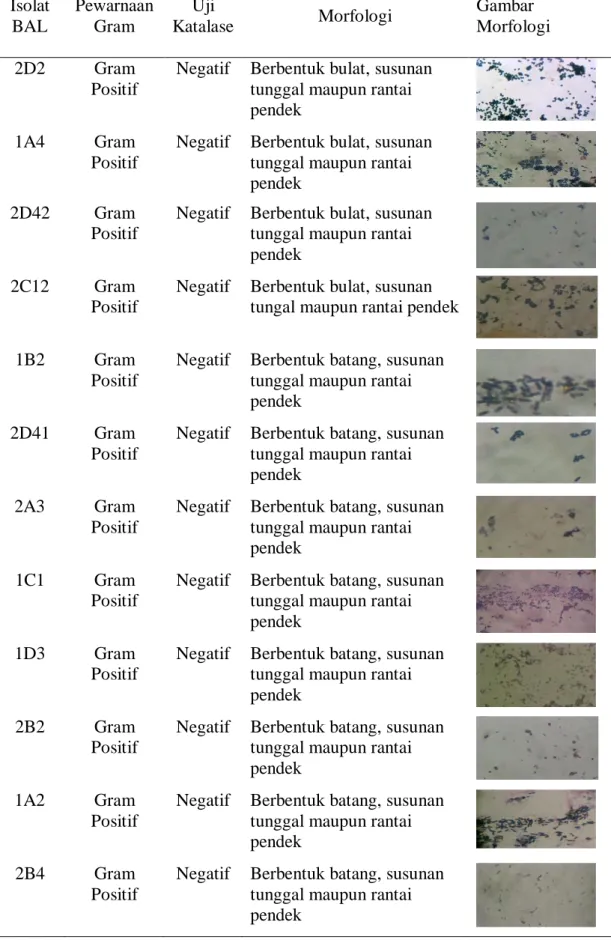 Tabel 2. Karakteristik Isolat BAL yang Diisolasi dari Daging Sapi     Isolat  BAL     Pewarnaan Gram  Uji 