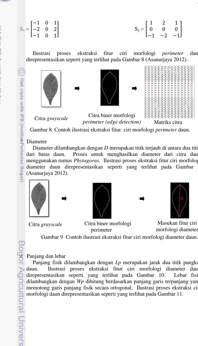 Ilustrasi  proses  ekstraksi  fitur  ciri  morfologi  perimeter  daun  direpresentasikan seperti yang terlihat pada Gambar 8 (Asanurjaya 2012)