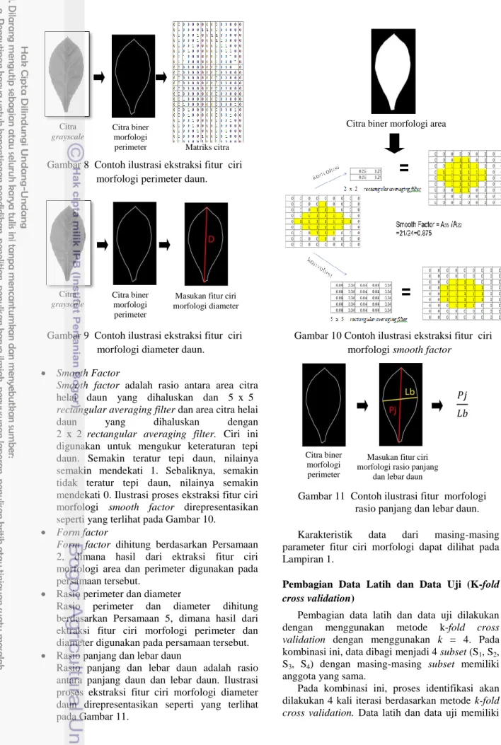 Gambar 9  Contoh ilustrasi ekstraksi fitur  ciri  morfologi diameter daun. 