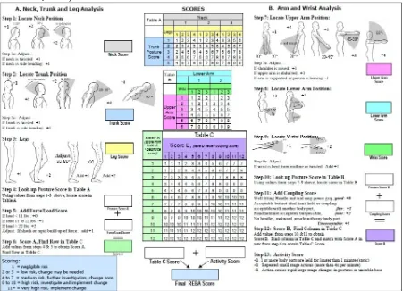 Gambar Metode Rapid Entire Body Assessment (REBA) (Sumber: Madani dan Dababneh, 2016)