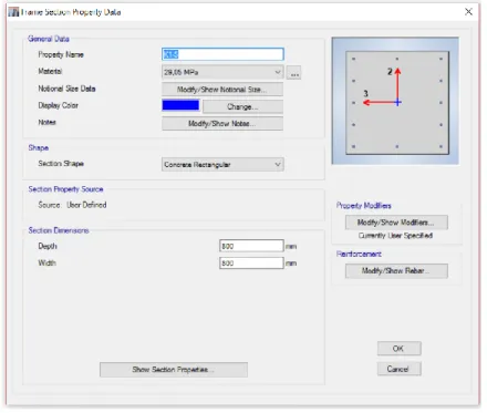 Gambar 2.11. Input Data-data Penampang 