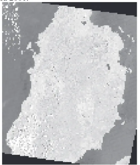 Gambar 2.  Citra Satelit Landsat 7 ETM+ Sebagian  Kab. Halmahera Utara Tahun 2001