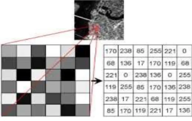 Gambar 1 Struktur model data raster 
