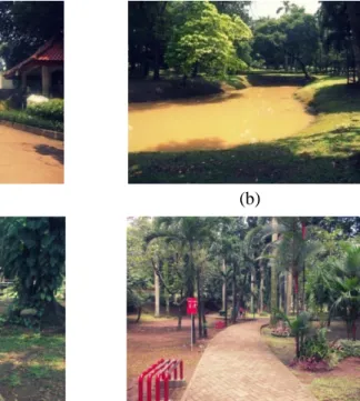 Gambar 10 Kondisi eksisting Taman Langsat: (a) Welcome area, (b) Kolam                                                  teratai, (c) Jalur refleksi lansia, dan (d) Area jogging track 