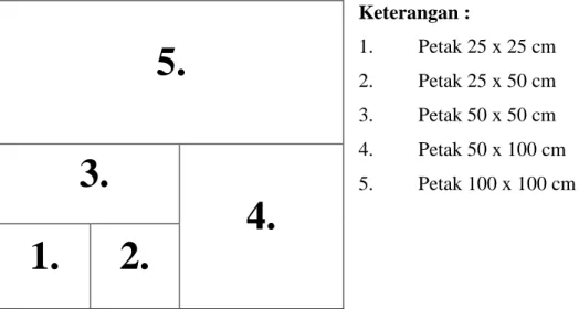 Gambar 1. Contoh petak minimal area. 
