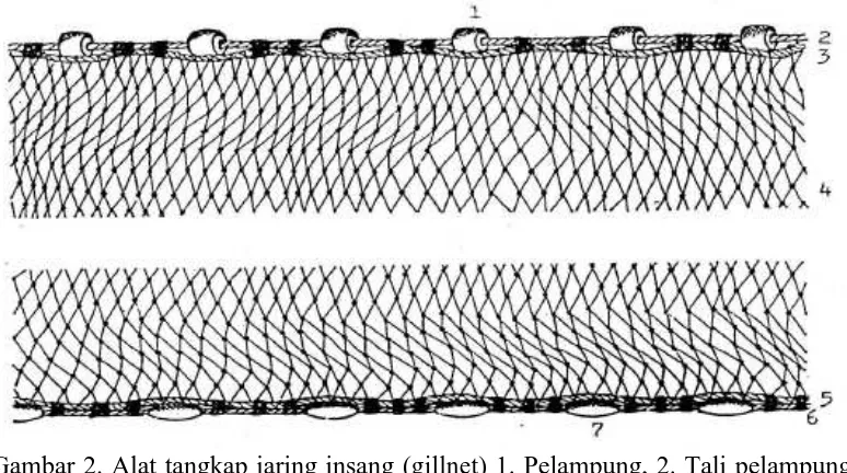 Gambar 2. Alat tangkap jaring insang  (gillnet) 1. Pelampung, 2. Tali pelampung, 3.Tali ris atas, 4