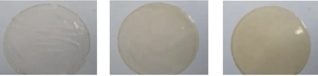 Gambar 3. Hasil Pembuatan Bioplastik