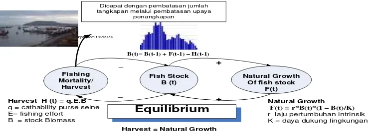 Gambar 1. Keseimbangan antara laju pertumbuhan stok ikan vs jumlah tangkapan (Sumber : Purwaningsih, 2014) 