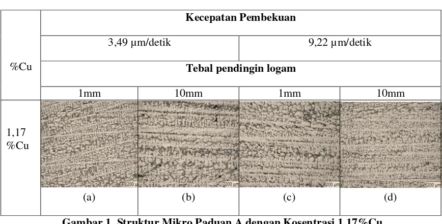 Gambar 1. Struktur Mikro Paduan A dengan Kosentrasi 1,17%Cu 