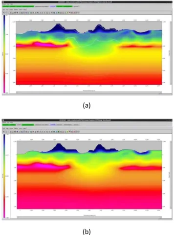 Gambar 5 (a) Model Kecepatan  dan (b) Model Densitas  Hasil Join Inversi Seismik-Gravity