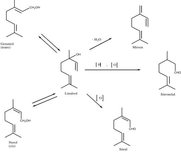 Gambar 2.3 Perubahan senyawa monoterpen 