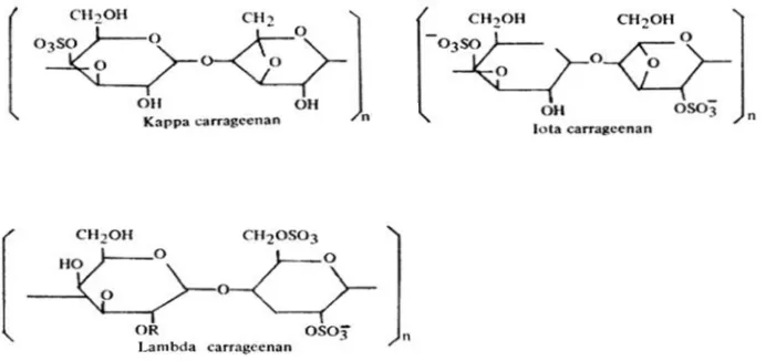 Gambar 2. Struktur kimia karagenan (Velde dan Ruiter dalam Dianitami, 2009).