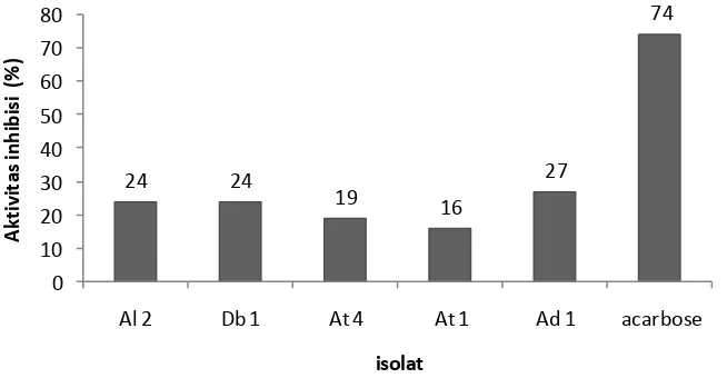 Gambar 2.  Histogram nilai penghambatan aktifitas enzim α -glukosidase dari isolat endofit tanaman pare (Momordica charantia) dan acarbose 