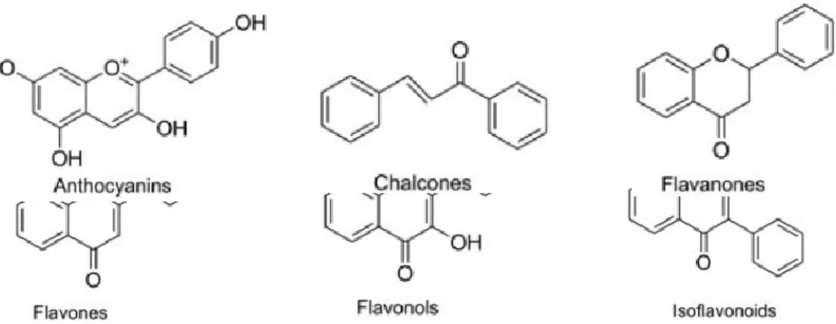 Gambar 1. Struktur Dasar Flavonoid dan Beberapa Jenis Turunannya  